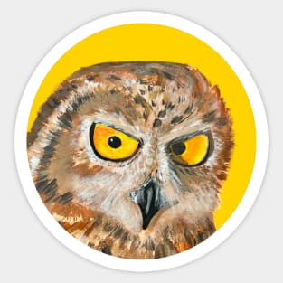 Owl sticker Sticker